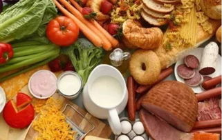 一千种食物，宝宝饮食多样化的重要性与实践指南