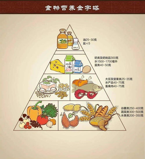 营养金字塔，为孩子打造健康饮食结构的指南