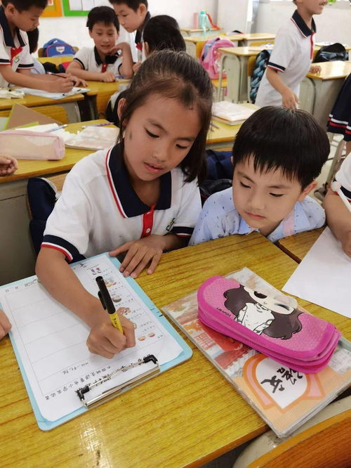 探索成长，儿童发展的概念与特点