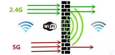 加勒比光谱号，家庭旅行的新选择