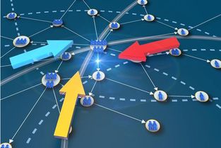 企业发展能力弱，原因、影响及提升策略