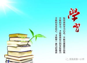 职业学生学校成长规划，打造未来职场精英的蓝图