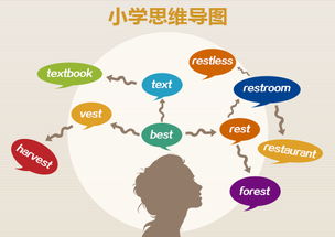 探索儿童世界，玩耍的英语单词及其在儿童发展中的重要性