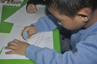 幼儿教育心理学，理解孩子的内心世界