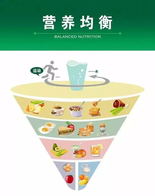 中国营养均衡金字塔，构建孩子健康成长的饮食基础