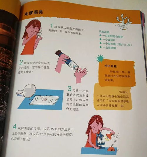 幼儿教育杂志摘抄，探索早期学习的力量