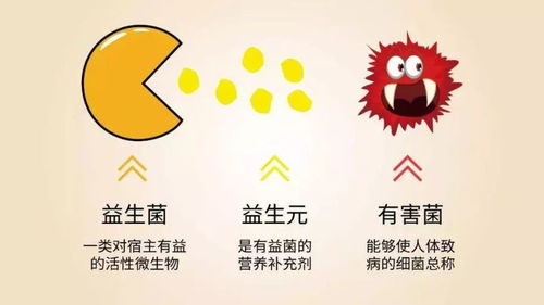 成长期，孩子成长的黄金阶段及其重要性