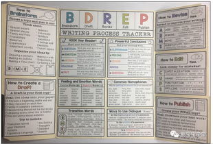 如何记录孩子的游玩活动，一份详尽的指南