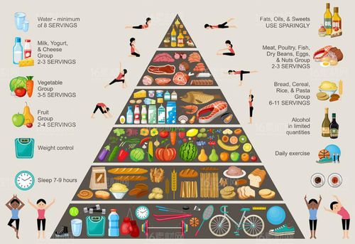 构建健康饮食，深入了解食物营养金字塔