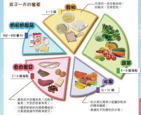 绘制营养金字塔，为孩子打造均衡饮食的指南