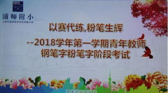 幼师教育的宝典，提升专业素养与实践技能