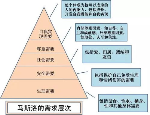 食物金字塔，构建孩子健康成长的营养基础