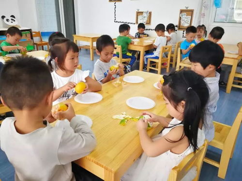 幼儿园生活，孩子们的小小世界