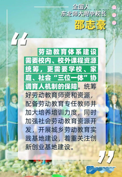 如何通过玩耍促进儿童全面发展，育儿专家的实用指南