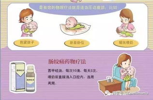 揭秘营养金字塔的秘密，为孩子打造健康饮食的科学指南