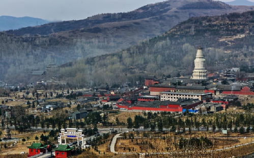 全面培养，关注孩子多方面成长的重要性