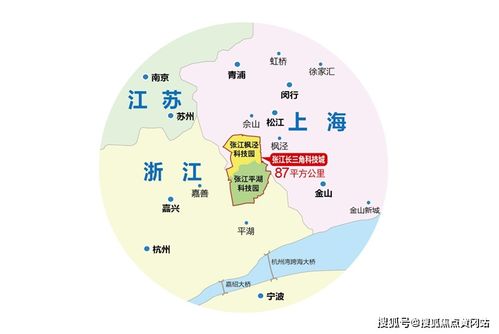 幼儿教育活动中的核心概念与名词解释