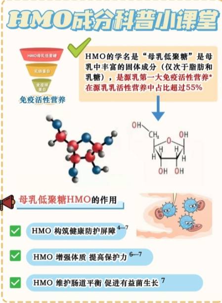 小学生成长指南针，培养未来领袖的黄金法则