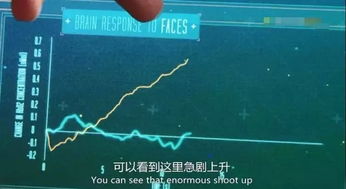 角色认知课程，为孩子的社交和情感发展打下坚实基础