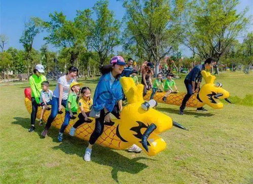 家庭亲子游，如何在大型游乐项目中确保孩子的安全与乐趣