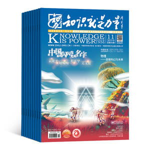 投资未来，幼儿教育杂志的价值与选择指南