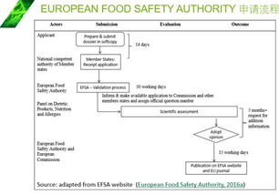 如何使用食物营养成分计算器来支持儿童健康成长