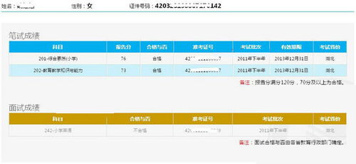 如何查询幼儿教师资格考试成绩，步骤、注意事项及后续行动