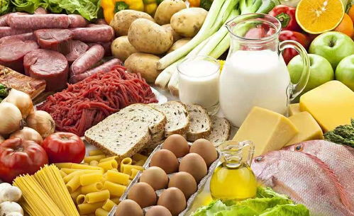 营养全攻略，为孩子打造健康饮食