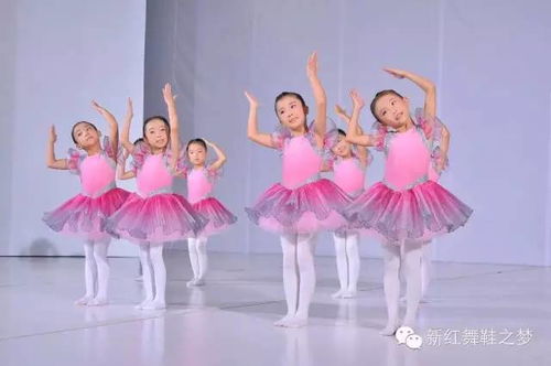 幼师专业舞蹈教育，培养幼儿身心发展的艺术之路