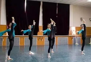 幼师专业舞蹈教育，培养幼儿身心发展的艺术之路