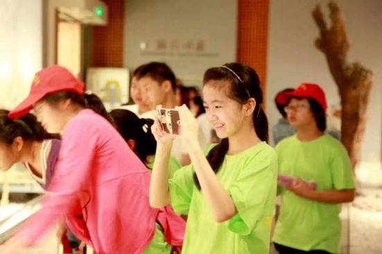 幼儿教育，探索关键课程与学习路径