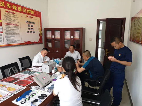 幼儿教育，探索关键课程与学习路径