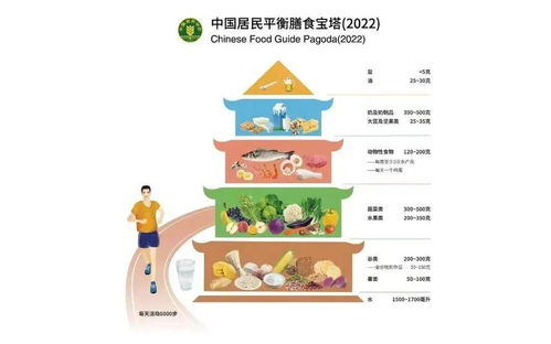 全面了解食物营养，五大类别及其对儿童成长的重要性