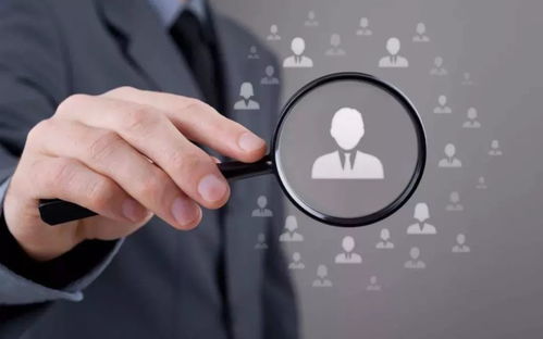 企业成长与环境变化，育儿专家视角下的领导力与适应力培养