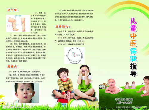 育儿简章，如何高效指导孩子成长