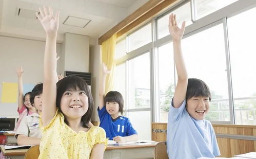 如何通过好玩加盟提升孩子的社交技能和创造力