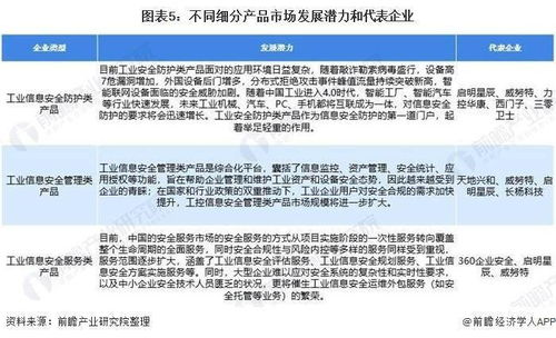 成长历程，孩子发展的关键阶段及其英文翻译
