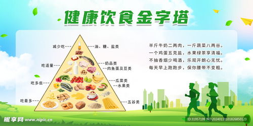 营养金字塔，大班儿童健康饮食指南