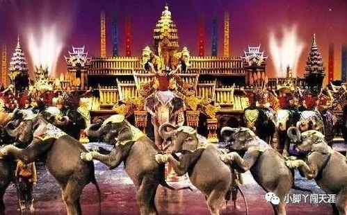 探索古代娱乐场所，从宫廷到民间的欢乐时光