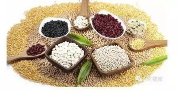 解密食物营养成份表，为孩子健康成长把关