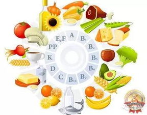 营养金字塔，为孩子打造健康饮食的黄金标准