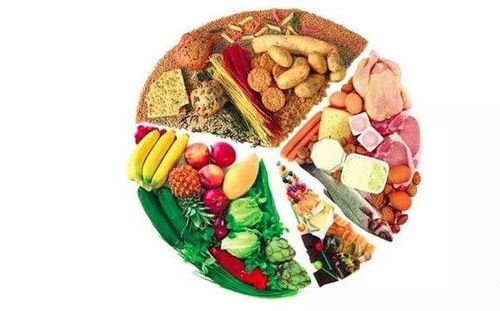 探索食物中的宝藏，六大营养素的奥秘