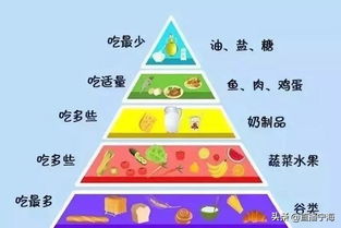 全面关注，孩子成长的多维视角