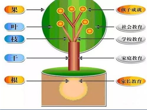 为孩子设定成长目标，关键要素与实践指南