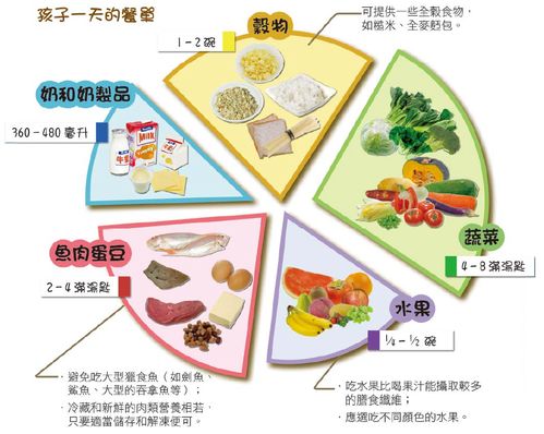 营养全知道，为孩子打造健康饮食指南