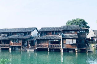 家庭旅游活动，提升亲子关系的翻译桥梁