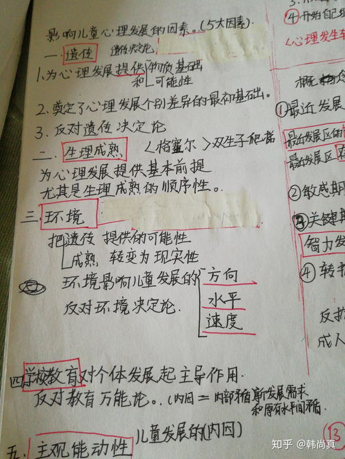 幼儿教育心理学读书笔记，理解儿童发展的关键