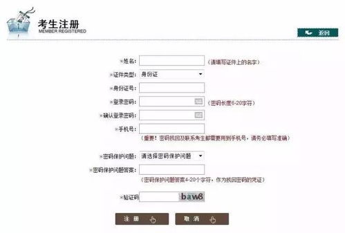 幼儿教师资格证考试全解析，科目内容与备考策略