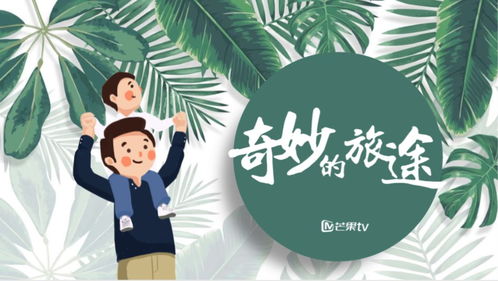 亲子游乐园，寓教于乐的奇妙之旅