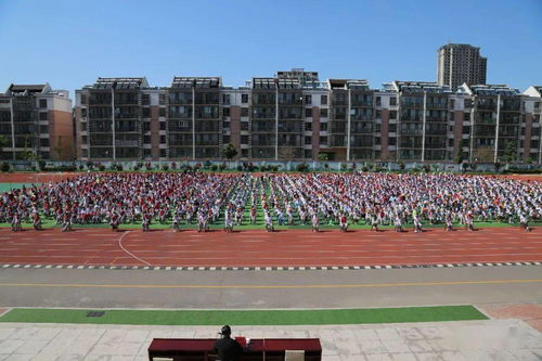 成长规划自我评估，为孩子的未来铺路